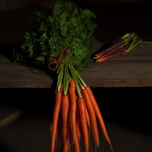 Daucus carota (Wild Carrot) in bloom, displaying its intricate white lace-like flowerhead with a dark central floret. Finely cut green foliage is also visible.