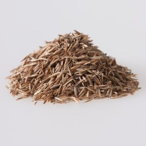 Festuca rubra displaying its fine, upright, blade-like evergreen foliage, with delicate, reddish-tinged flower spikes emerging above the dense green tufts in summer.