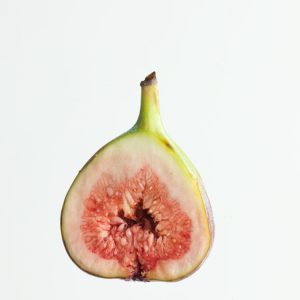 A healthy Ficus carica plant displaying its large, deeply lobed green leaves and several ripening, pear-shaped fruits hanging amongst the foliage.