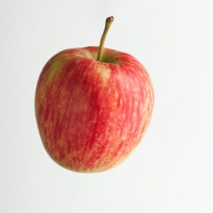 Malus domestica 'Benoni' apple tree displaying ripe, round, yellow-green fruit with a red blush hanging amongst vibrant green leaves, ready for harvest.