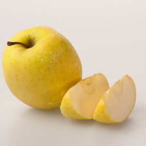 Malus domestica 'Golden Delicious' apple tree, laden with smooth, bright yellow, ripe apples amongst vibrant green foliage, ready for harvest.