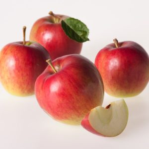 A vibrant Malus domestica 'Granny Smith' apple tree laden with numerous crisp, bright green apples hanging amongst lush deciduous foliage.