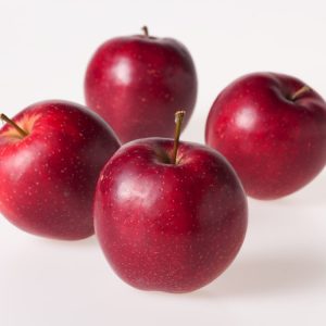 Vibrant Malus domestica 'Summerred' apple tree laden with glossy red, ripe fruits hanging amongst lush green leaves, ready for harvest in late summer.