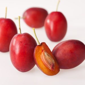 A healthy Prunus domestica 'Victoria' tree laden with ripe, oval, red-purple Victoria Plums, showcasing its vibrant green foliage.