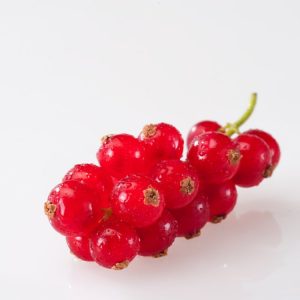 Close-up of a Ribes rubrum (Redcurrant) bush laden with clusters of vibrant, glossy red berries amongst fresh green lobed leaves, ready for harvest.